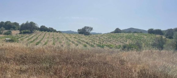 55000m² Land in Olbia, Italy No. 121707 18