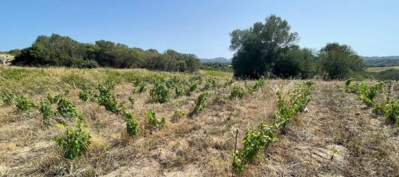 55000m² Land in Olbia, Italy No. 121707 10