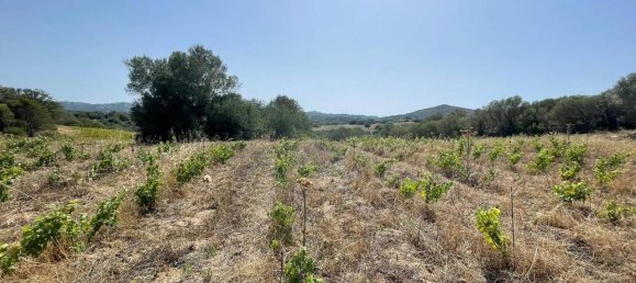 55000m² Land in Olbia, Italy No. 121707 17