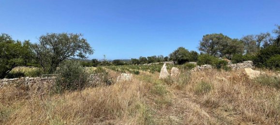 55000m² Land in Olbia, Italy No. 121707 14
