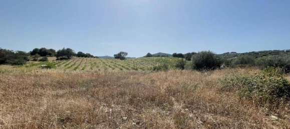 55000m² Land in Olbia, Italy No. 121707 21