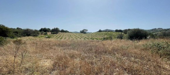 55000m² Land in Olbia, Italy No. 121707 15