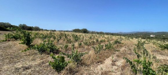 55000m² Land in Olbia, Italy No. 121707 13