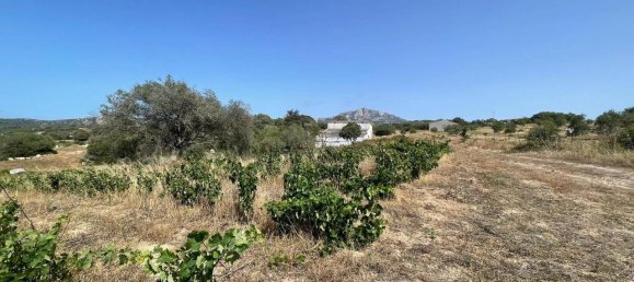 55000m² Land in Olbia, Italy No. 121707 7