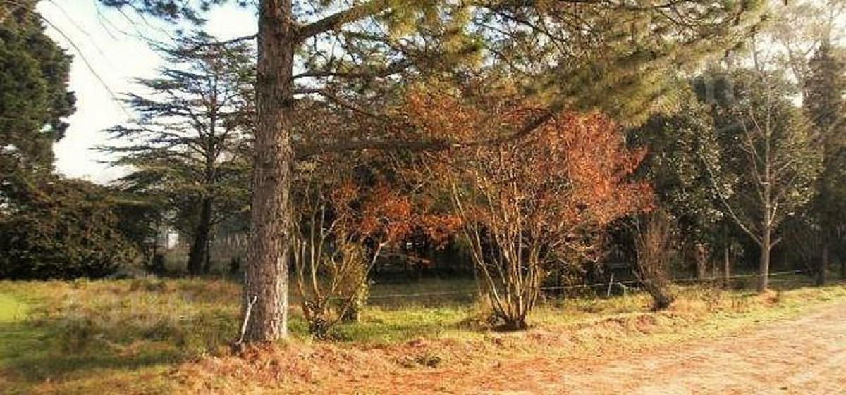  Land in Escobar, Argentina No. 31798