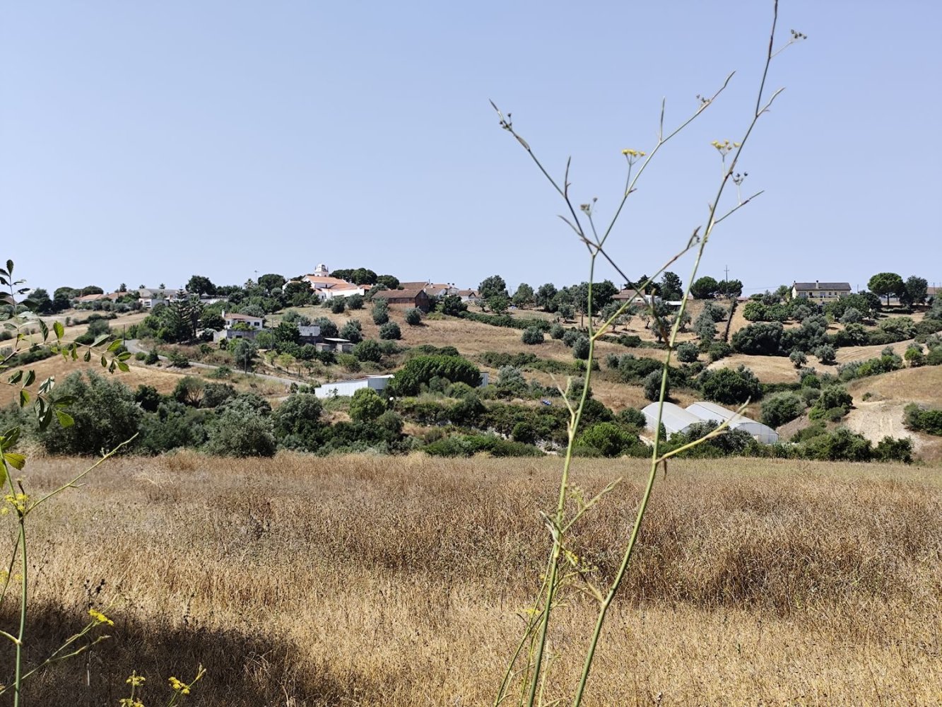  قطعة أرض في Santarem, Portugal رقم 349750