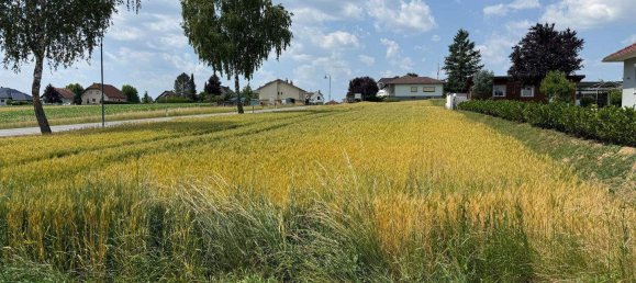  Land in Kohfidisch, Austria No. 159461 2