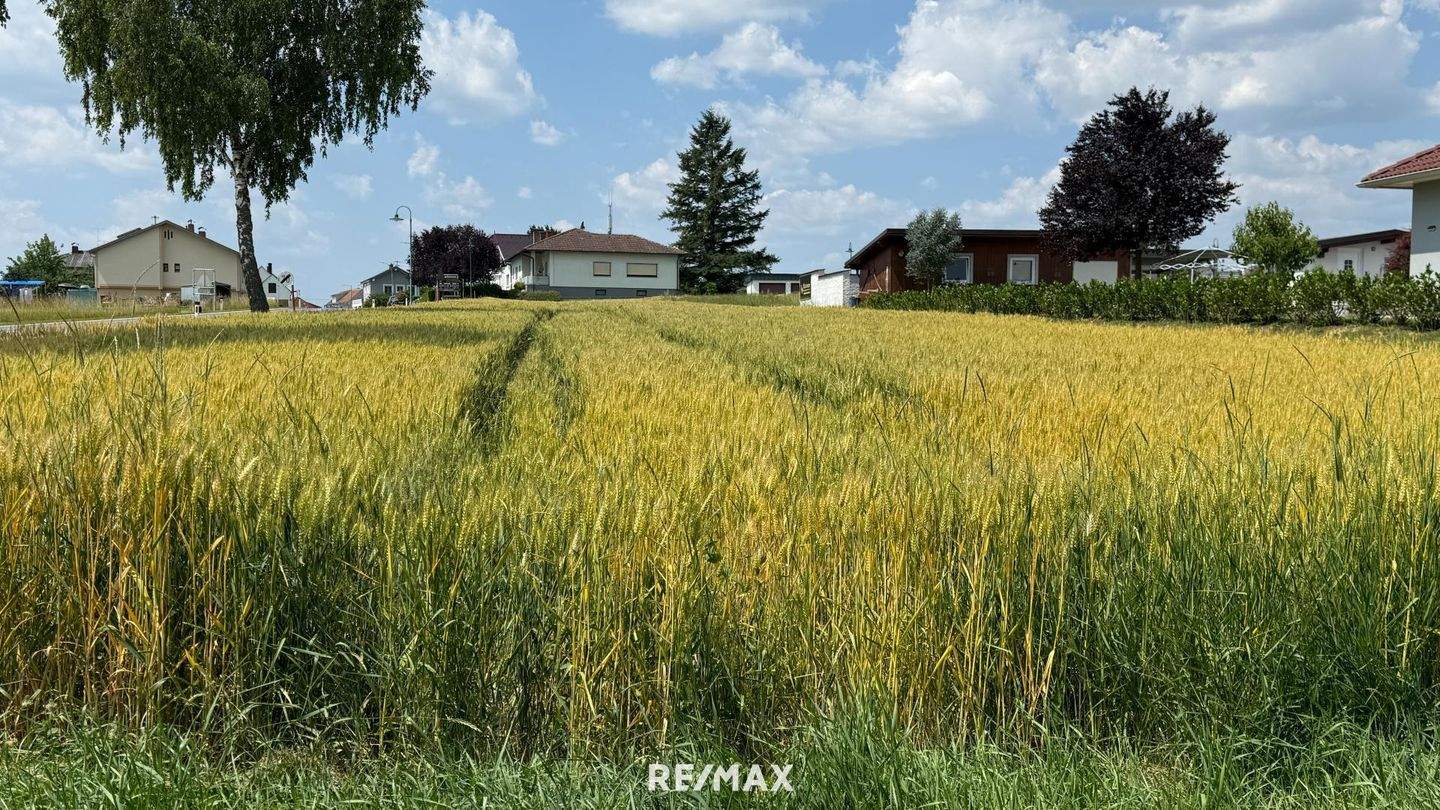  Land in Kohfidisch, Austria No. 159461