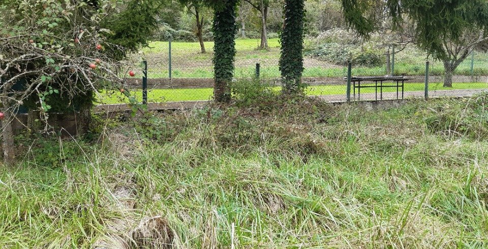 Terrain à Etzling, France No. 217513
