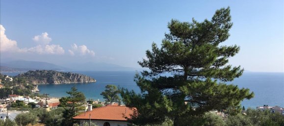 4751m² Hotel in Argolis, Greece No. 4372 8