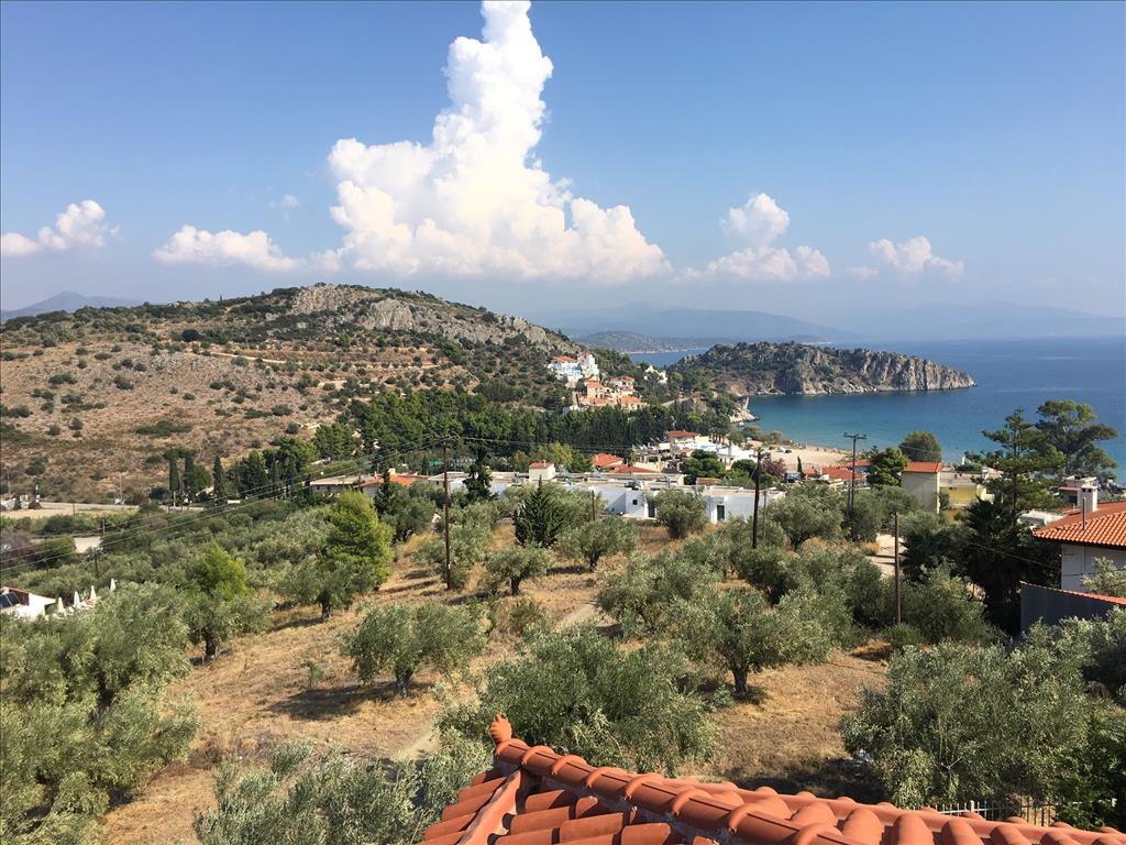 4751m² Hotel in Argolis, Greece No. 4372