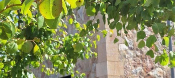 3 Schlafzimmer Haus in Cuarte de Huerva, Spain, Nr. 62009 5