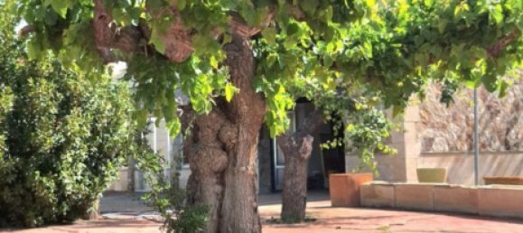 3 Schlafzimmer Haus in Cuarte de Huerva, Spain, Nr. 62009 19