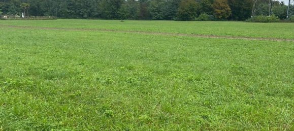 Grundstück in Mariano Comense, Italy 13000m², Nr. 333726 4