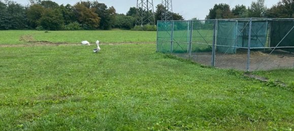 Grundstück in Mariano Comense, Italy 13000m², Nr. 333726 5