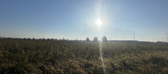 Grundstück in Seiersberg-Pirka, Austria, Nr. 102520 5