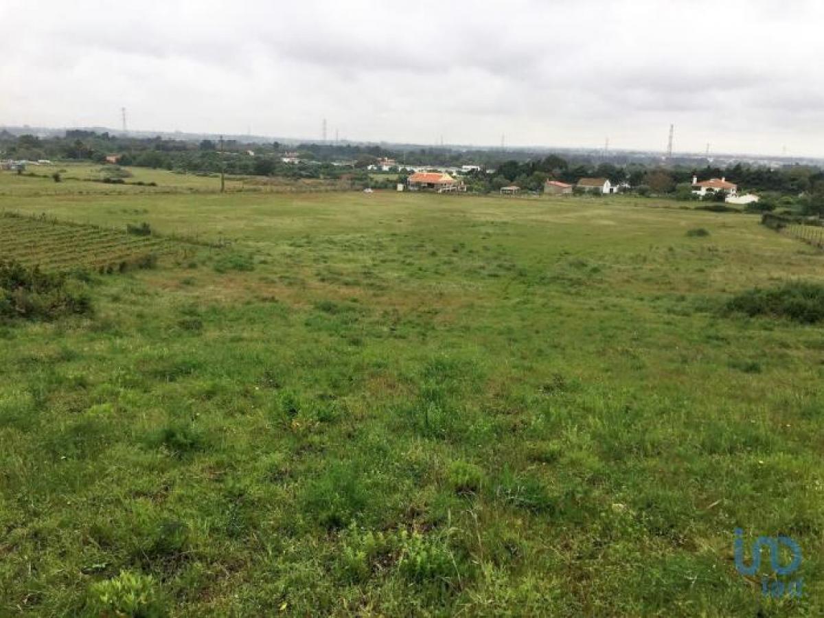 Land for sale in Palmela, Setubal, Portugal № 8850