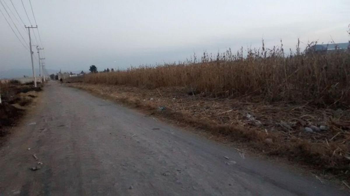  Land in San Buenaventura, Mexico No. 205592