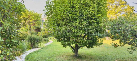 3 rooms House in Vienna, Austria No. 240592 12