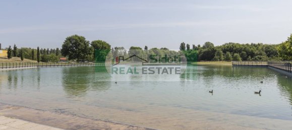 1 chambre Appartement à Pioltello, Italy No. 2556 38