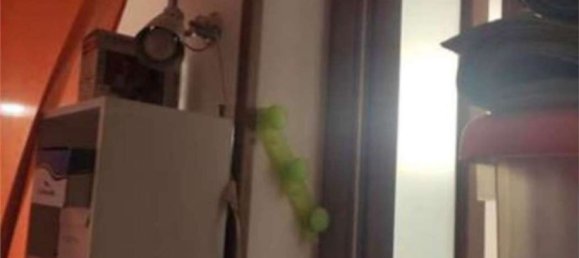 4 غرف نوم شقة في Taranto, Italy رقم 376935 11