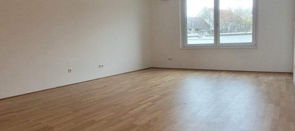 4 rooms Apartment in Deutsch-Wagram, Austria No. 245522 2