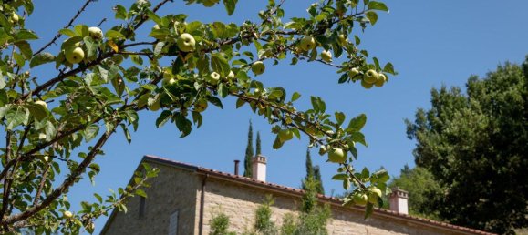 16 rooms House in Marradi, Italy No. 154892 15