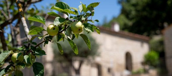 16 rooms House in Marradi, Italy No. 154892 2