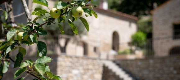 16 rooms House in Marradi, Italy No. 154892 3