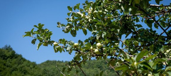 16 rooms House in Marradi, Italy No. 154892 23