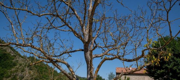 16 rooms House in Marradi, Italy No. 154892 18