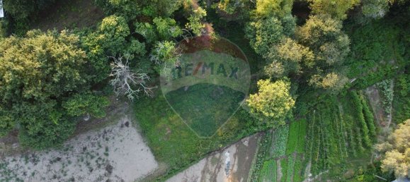 1 غرف نوم منزل في Povoa de Lanhoso, Portugal رقم 39674 16