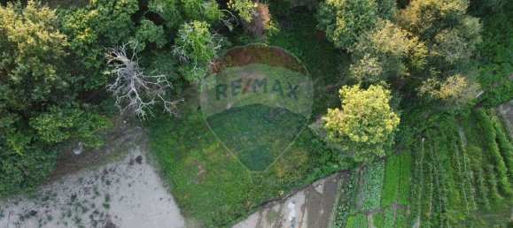 1 غرف نوم منزل في Povoa de Lanhoso, Portugal رقم 39674 15