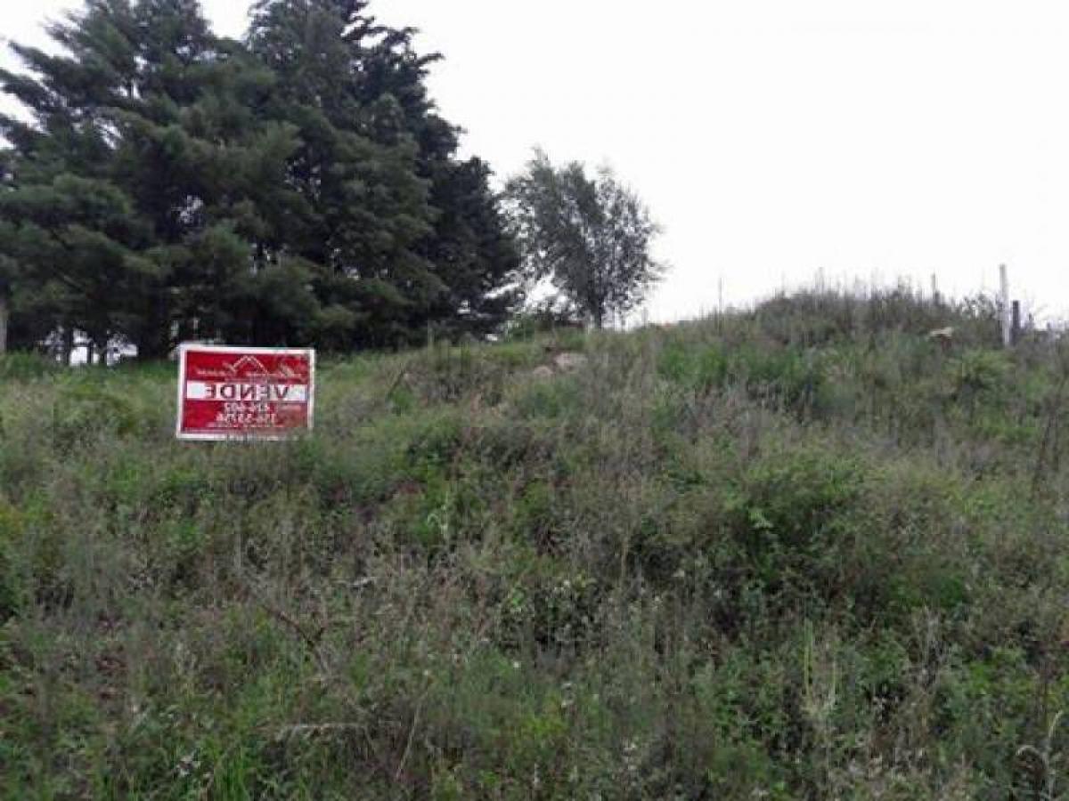 Studio in Cordoba, Argentina No. 53120