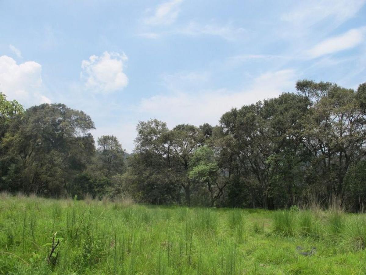  قطعة أرض في Lerma, Mexico رقم 207107