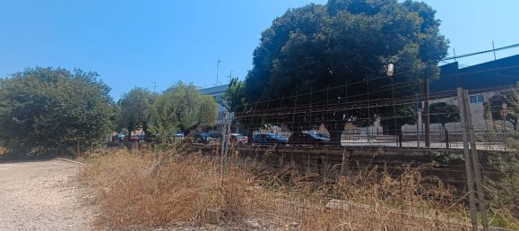 3141m² Building in Carcaixent, Spain No. 134728 2