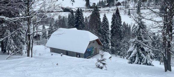 12غرفة منزل في Breisgau-Hochschwarzwald, Germany رقم 33904 4