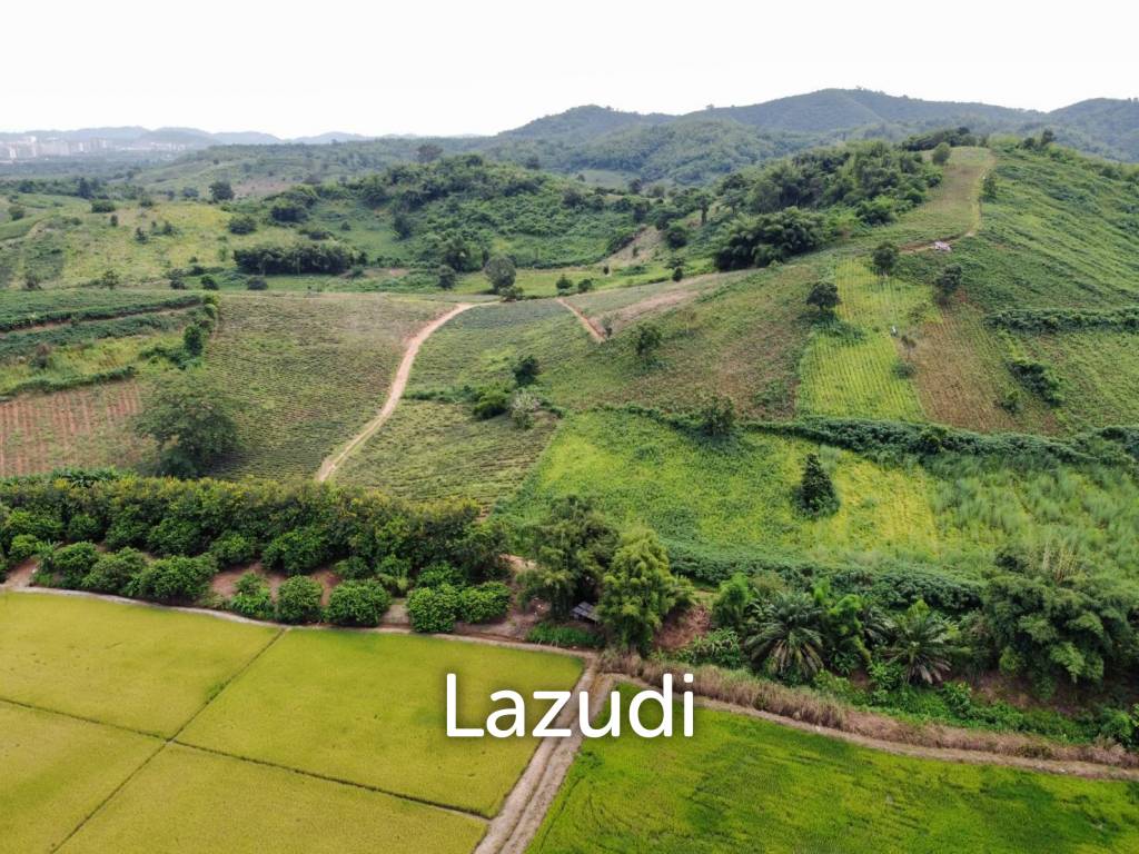  Commercial property in Chiang Saen, Thailand No. 14661