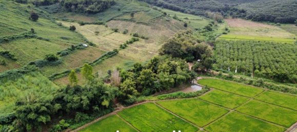  Commercial property in Chiang Saen, Thailand No. 14661 3