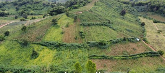  Commercial property in Chiang Saen, Thailand No. 14661 4