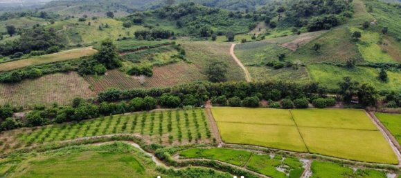  Commercial property in Chiang Saen, Thailand No. 14661 5