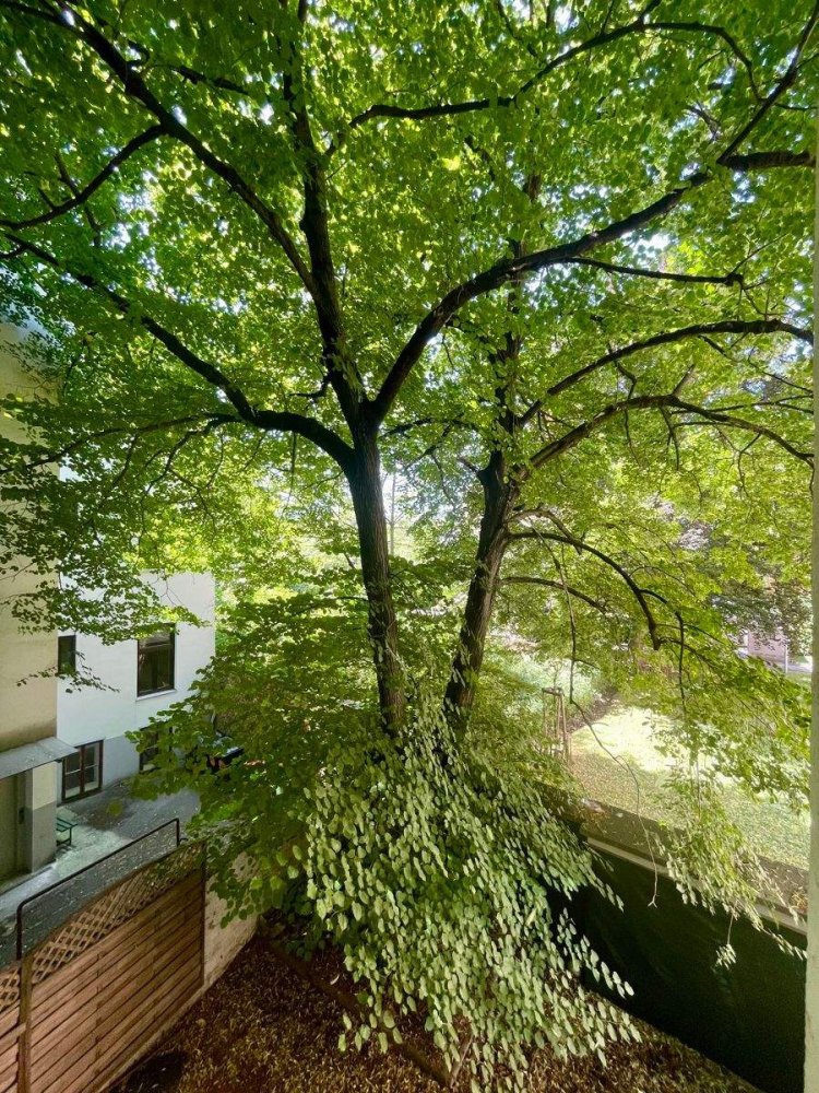 Apartamento de 2 divisões em Penzing, Austria N.º 205042