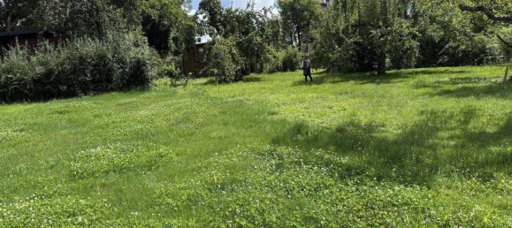 Land in Leonding, Austria No. 204027 2