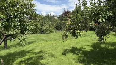  Land in Leonding, Austria No. 204027