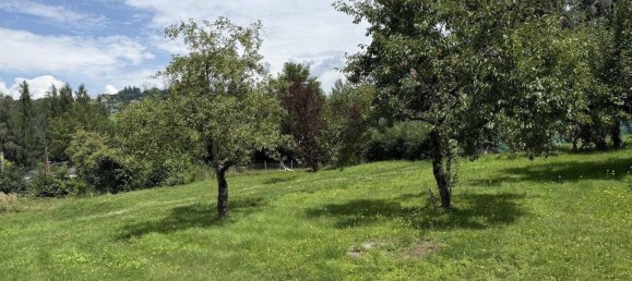 Land in Leonding, Austria No. 204027 3