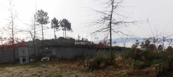 22250m² Land in Marco de Canaveses, Portugal No. 59408 6