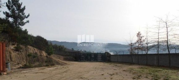 22250m² Land in Marco de Canaveses, Portugal No. 59408 8