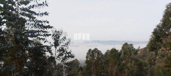 22250m² Land in Marco de Canaveses, Portugal No. 59408 11