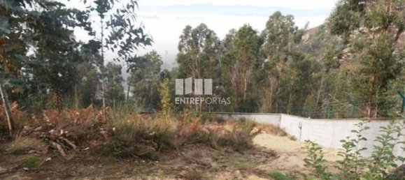 22250m² Land in Marco de Canaveses, Portugal No. 59408 10