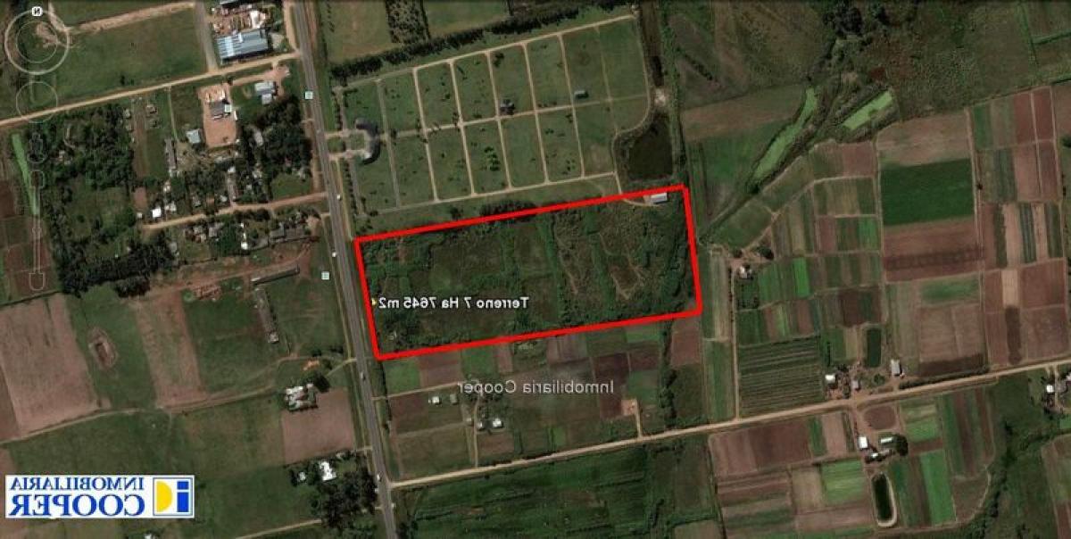  Land in Canelones, Uruguay No. 13901